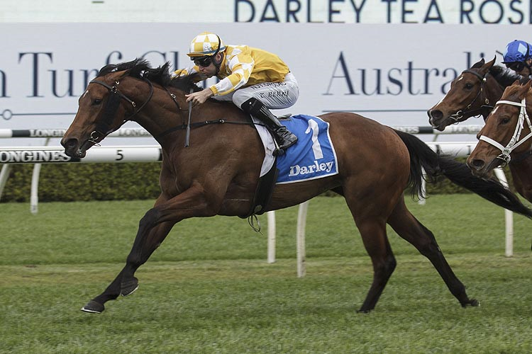 DAME GISELLE winning the Darley Tea Rose Stakes