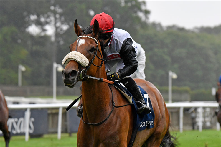 DAME MALLIOT winning the Princess Of Wales's Tattersalls Stakes during day one of The Moet and Chandon July Festival in Newmarket, England.