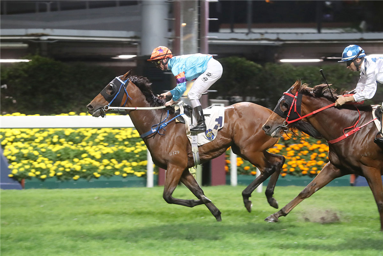 DANCES WITH DRAGON winning the Camellia Hcp (C2)