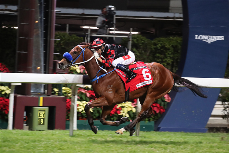 Dancing Fighter is shooting for a hat-trick with Joao Moreira.