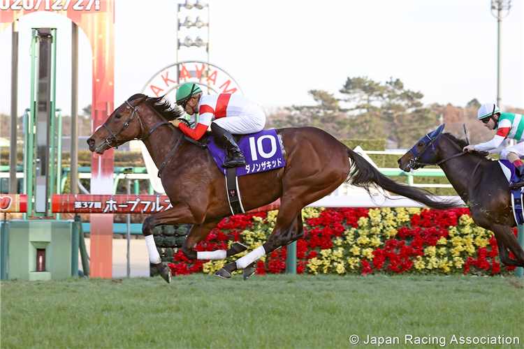 DANON THE KID winning the Hopeful Stakes at Nakayama in Japan.