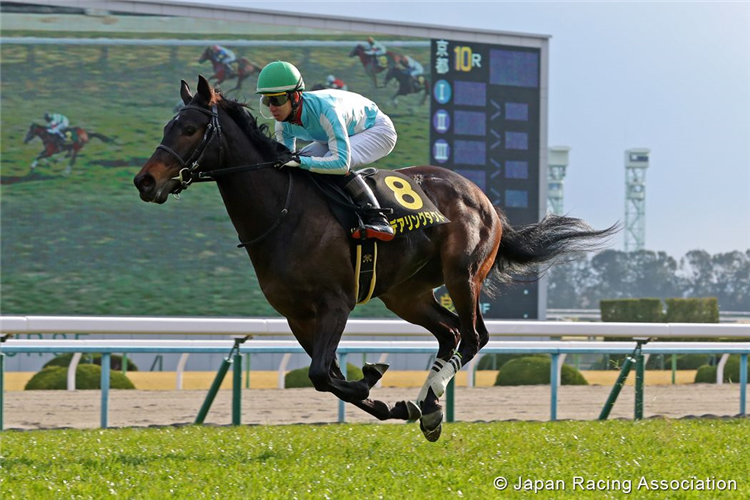 DARING TACT winning the Elfin Stakes in Kyoto, Japan.