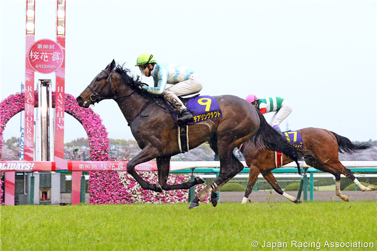 DARING TACT winning the Oka Sho at Hanshin in Japan.