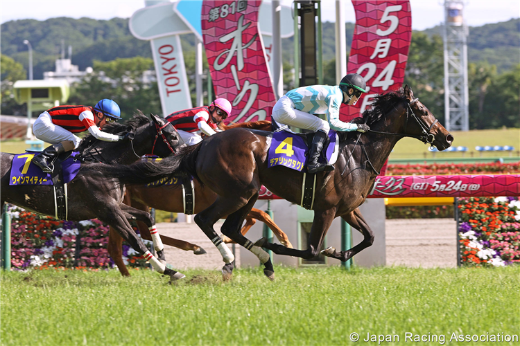 DARING TACT winning the Yushun Himba (Japanese Oaks) at Tokyo in Japan.