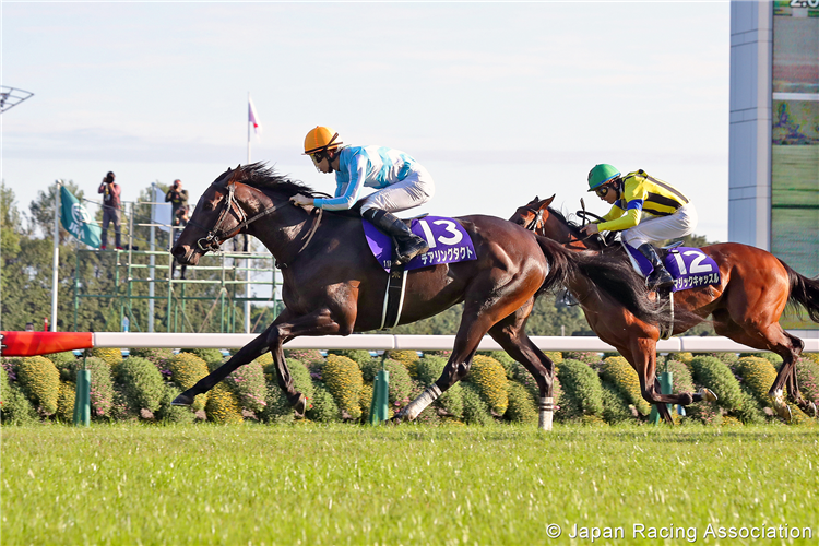 DARING TACT winning the Shuka Sho at Kyoto in Japan.