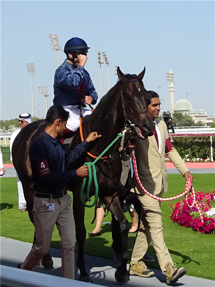 DARK PURSUIT parading after winning the DUKHAN SPRINT (QA Gr 3) (Sponsored by Breeders' Cup) (Far Bend)