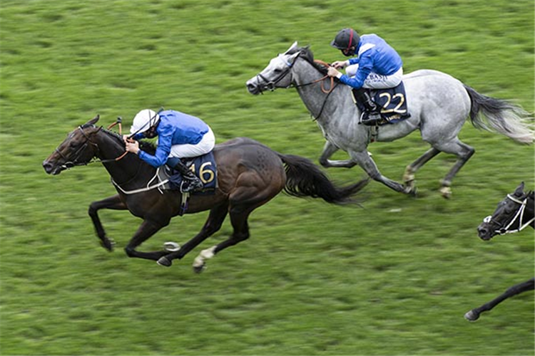 DARK VISION winning the Royal Hunt Cup at Ascot in England.