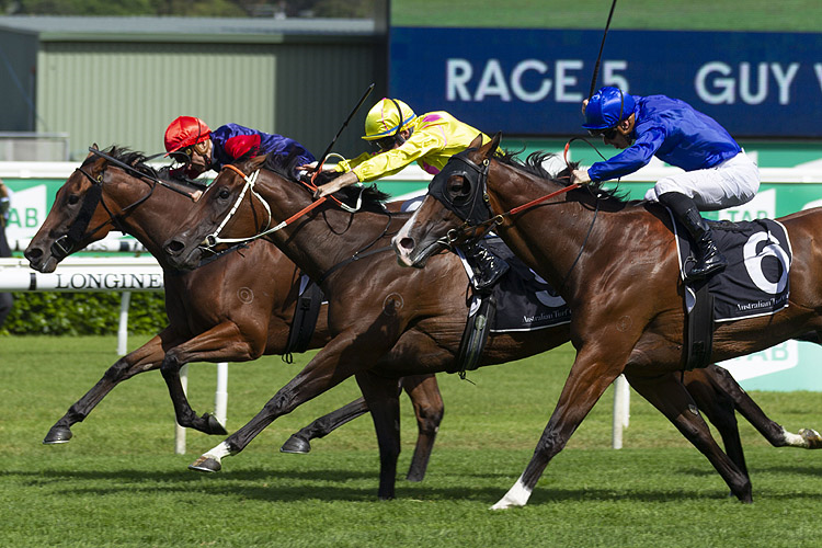 DAWN DAWN winning the Guy Walter Proven T'bred Stks