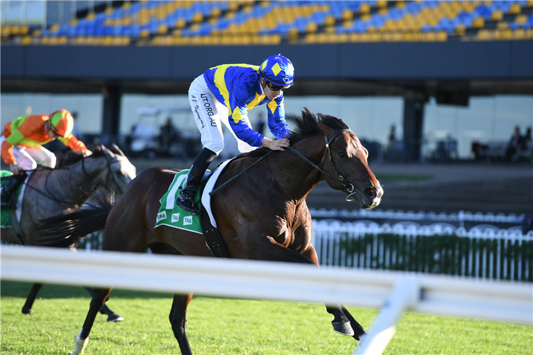 DAWN PASSAGE winning the Blacktown Workers H'bury Gneas.