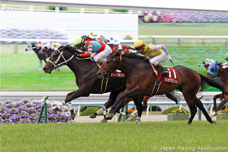 DEEP BOND was the winner of a Prix Foy.