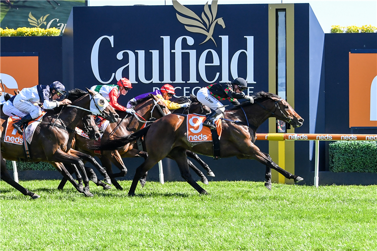DEFIBRILLATE winning the Neds Lord Stakes at Caulfield in Australia.
