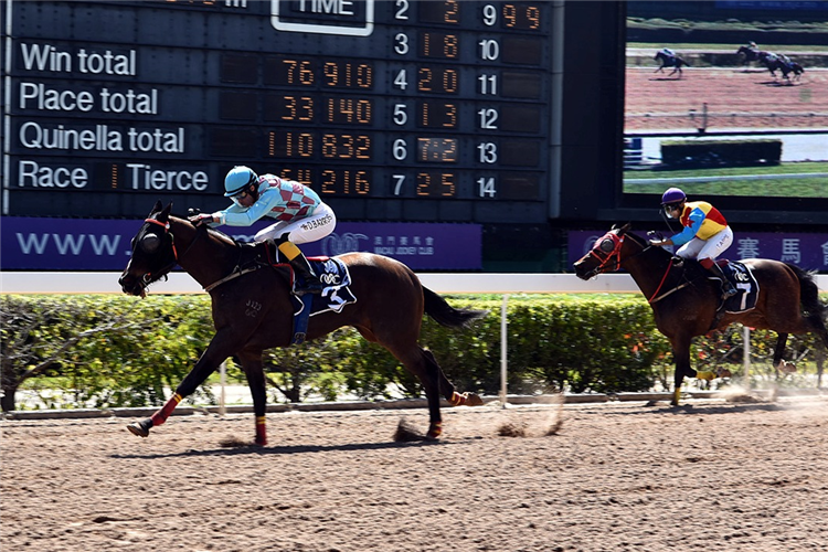 DELIGHTED SOLUTION winning the THE URUGUAY