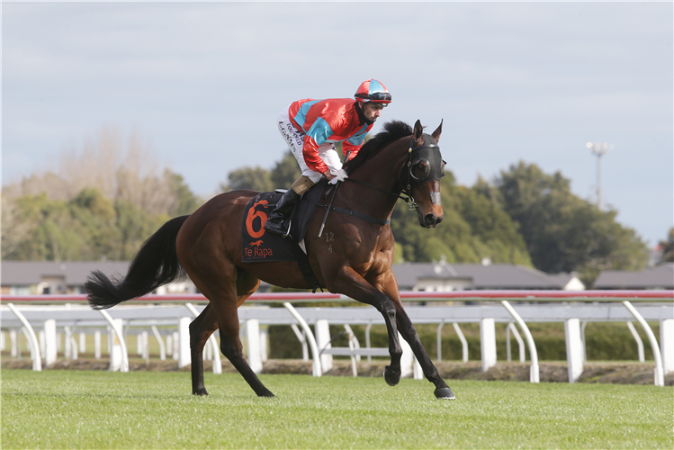 DEMONETIZATION winning the Foxbridge Plate