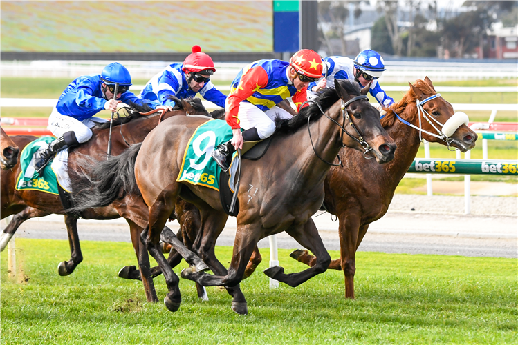 DIRTY THOUGHTS winning the Allianz Insurance 2YO Maiden Plate in Geelong, Australia.