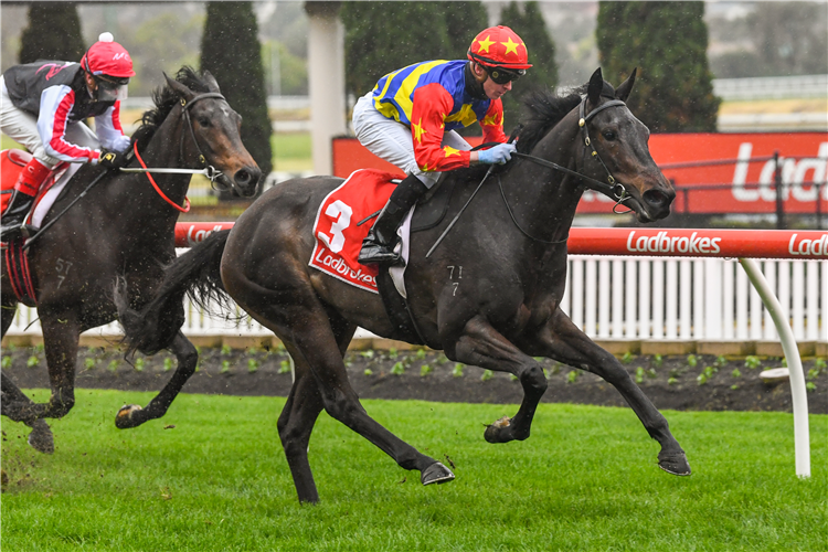 DIRTY THOUGHTS winning the Ladbrokes Switch Hcp.