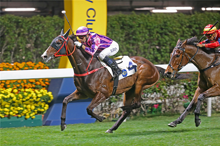 Dor Dor is a top-rater at Happy Valley on Wednesday.