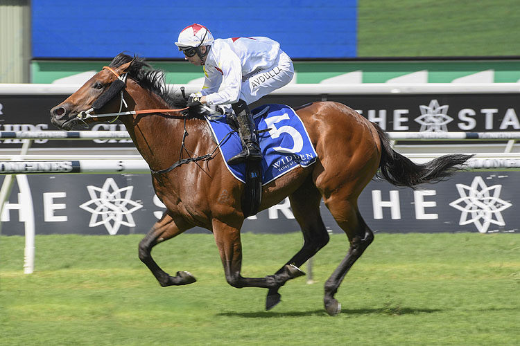 DOUBTLAND winning the Widden Kindergarten Stakes