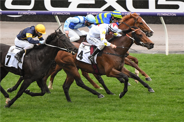 DOUBTLAND winning the Seppelt Danehill Stakes.