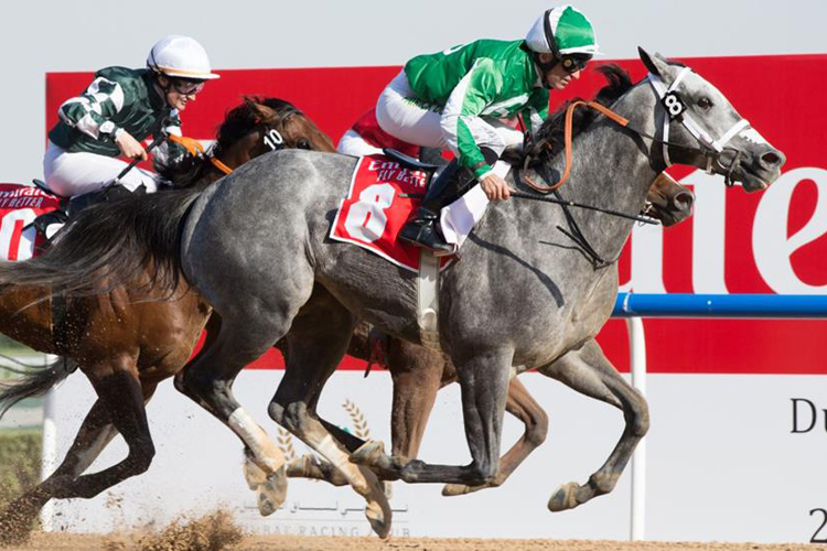 DRAFTED wins the Mahab Al Shimaal (G3) on Super Saturday 2019