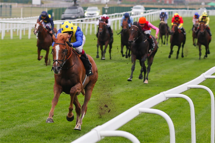 DREAM OF DREAMS winning the Hungerford Stakes at Newbury in England.