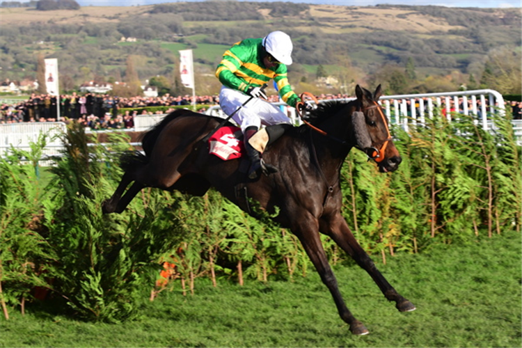 EASYSLAND winning the Glenfarclas Chase (Cross Country Chase)