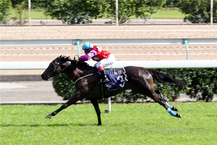 ECLAIR HUNTER winning the THE BENDIGO