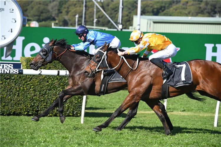 EDISON winning the Newhaven Park Handicap.