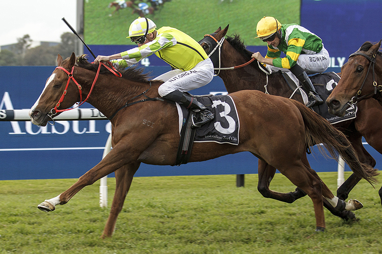 EDUARDO winning the July Sprint