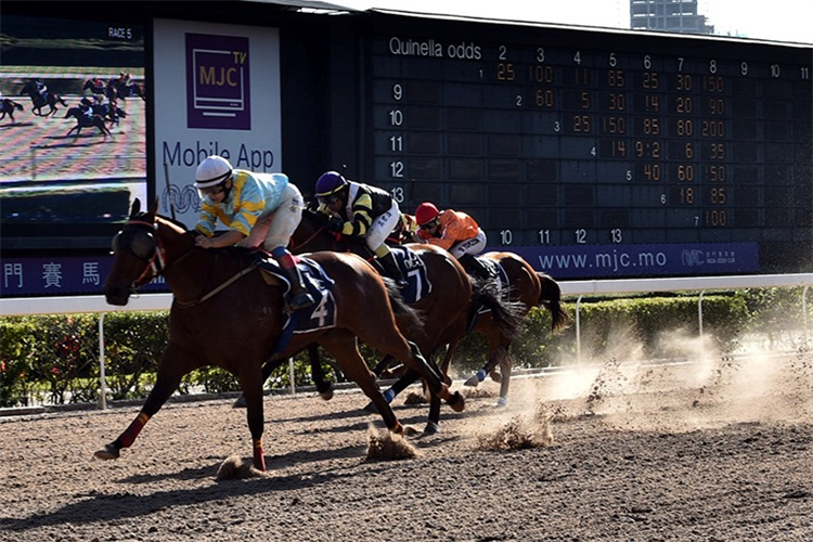 ELECTROPLATE ALLOY winning the THE CHILE (DIV.2)
