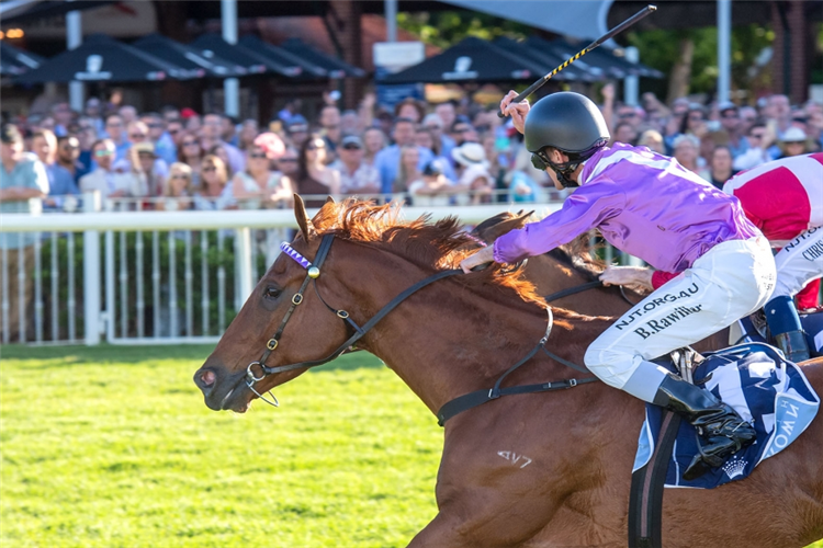 ELITE STREET winning the Crown Perth - Winterbottom