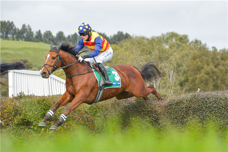 ELVISON winning the Moredun Hill Casterton Stpl.