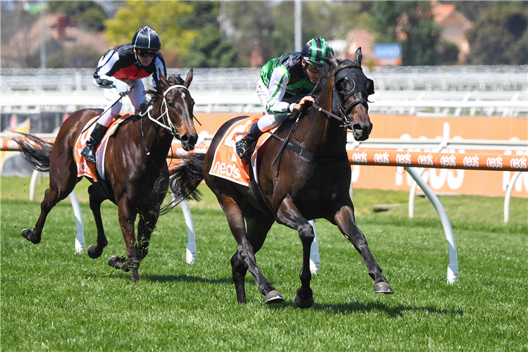 EMBOLISM winning the Bianca North Handicap in Caulfield, Australia.