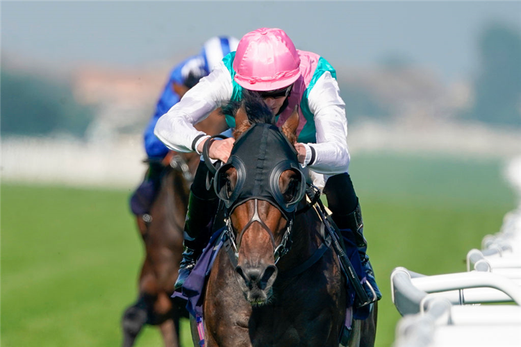 EMISSARY winning the Sky Sports Racing Sky 415 Handicap at Yarmouth in England.