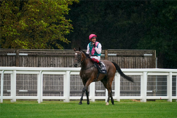 ENABLE winning the King George VI And Queen Elizabeth Stakes at Ascot in England.