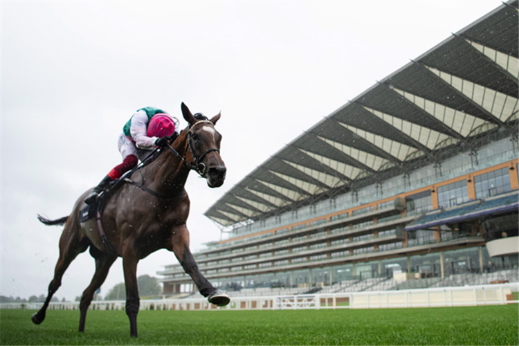 ENABLE winning the King George VI And Queen Elizabeth Stakes.