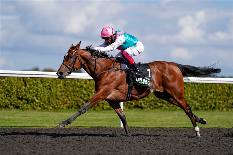 ENABLE winning the September Stakes at Kempton Park in England.