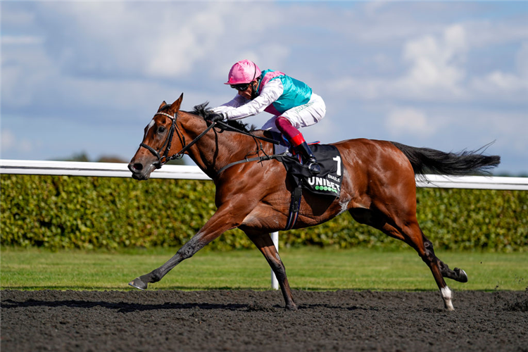 ENABLE