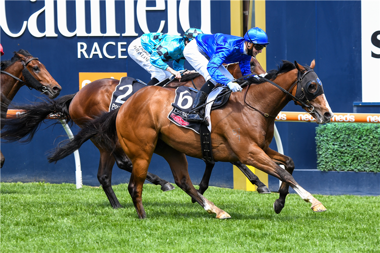 ENDANGER winning the Polytrack Gothic Stakes at Caulfield in Australia.