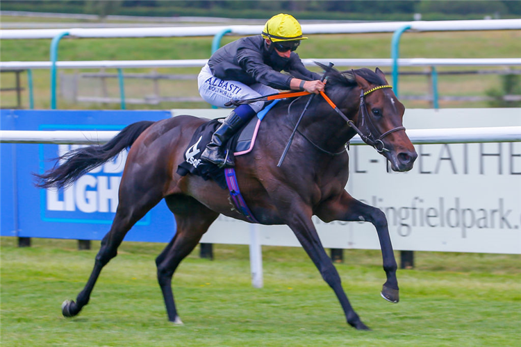 ENGLISH KING winning the Betsafe Derby Trial Stakes at Lingfield Park  in Lingfield, England. 