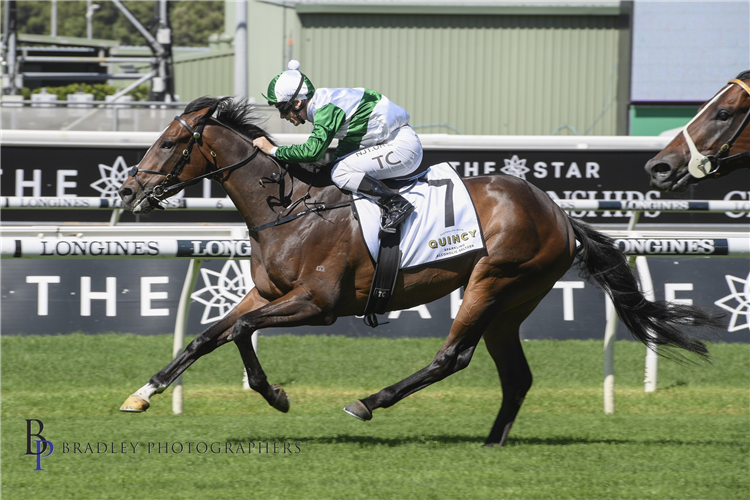 ENTENTE winning the Carbine Club Stakes.