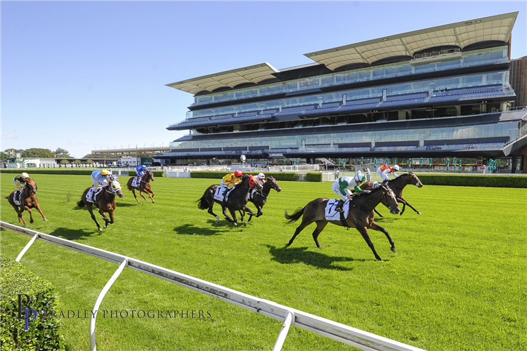 ENTENTE winning the Carbine Club Stakes.