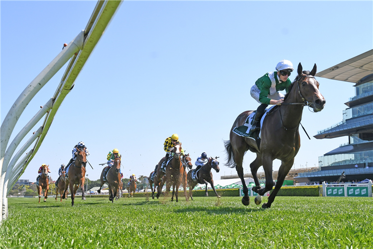 ENTHAAR winning the Keeneland Gimcrack Stakes at Royal Randwick in Australia.