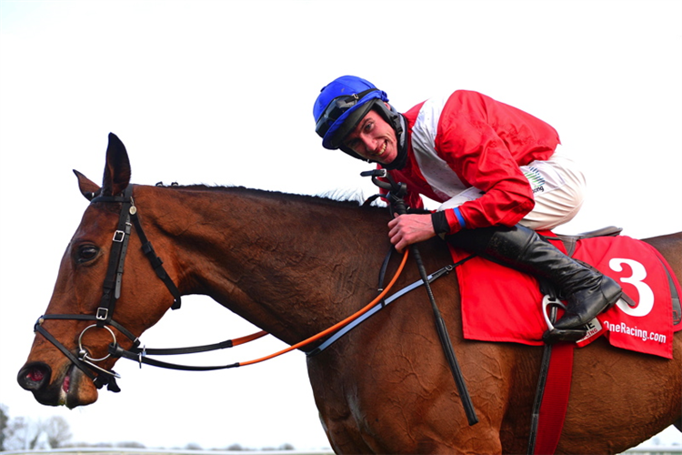 ENVOI ALLEN parading after winning the BARONERACING.COM Drinmore Novice Chase (Grade 1)