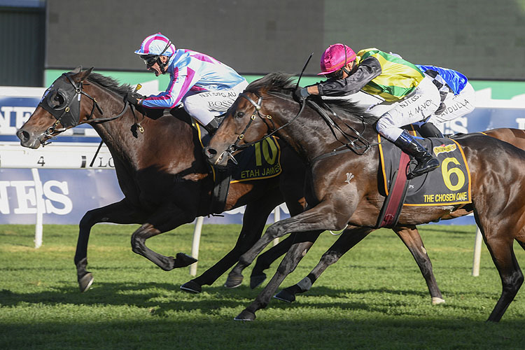 ETAH JAMES winning the Schweppes Sydney Cup