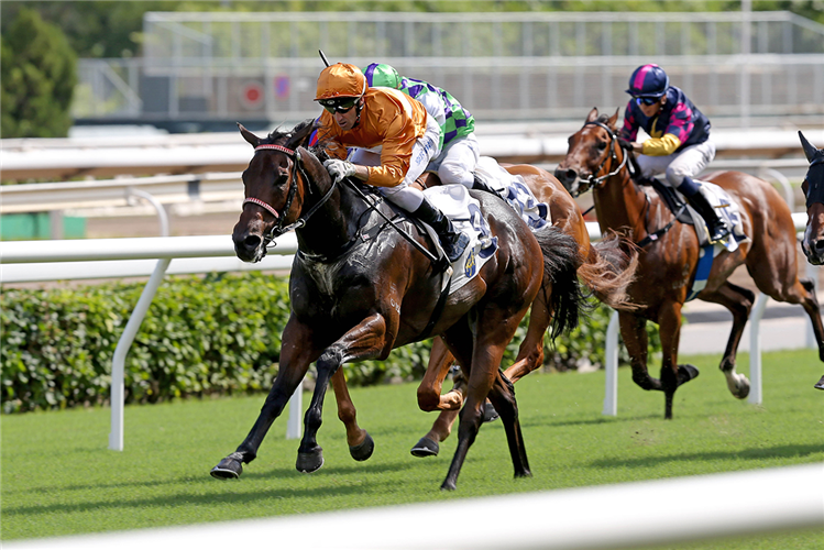 EXCELLENT CHARIOT winning the Shek Lei Hcp (C4)