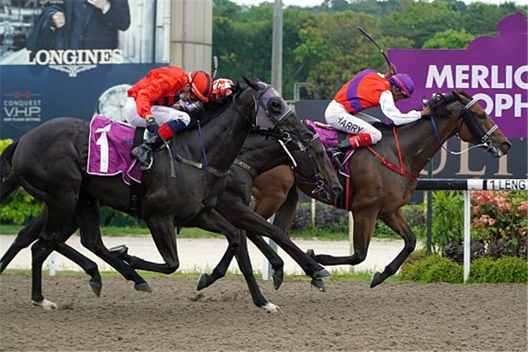 EXCELLING winning the MERLION TROPHY GROUP 2