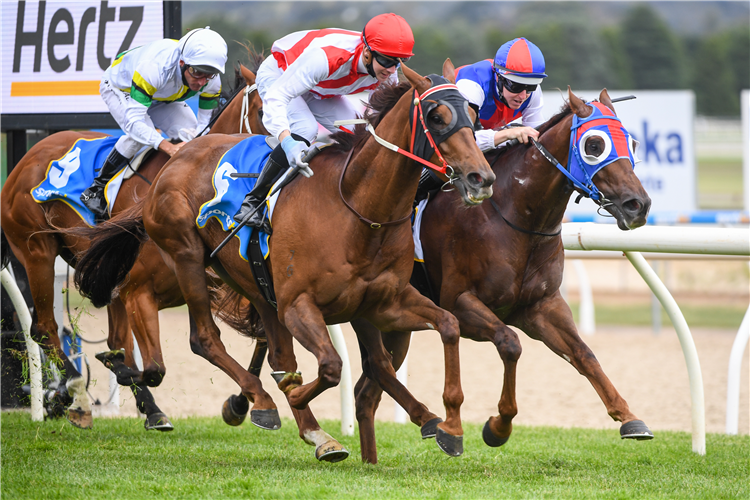 EXCESS FUNDS winning the Tonks Plate.