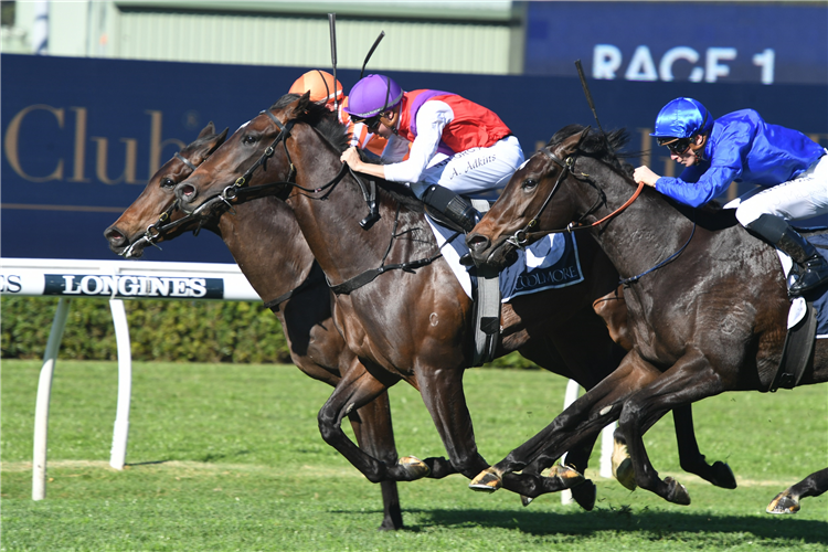 EXHIBITION winning the Magna Grecia To Coolmore Hcp.