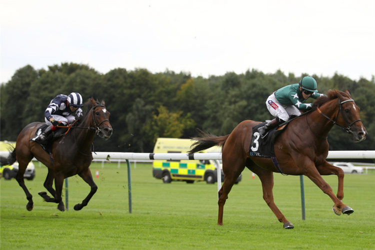 EXTRA ELUSIVE winning the Rose Of Lancaster Stakes at Haydock in England.