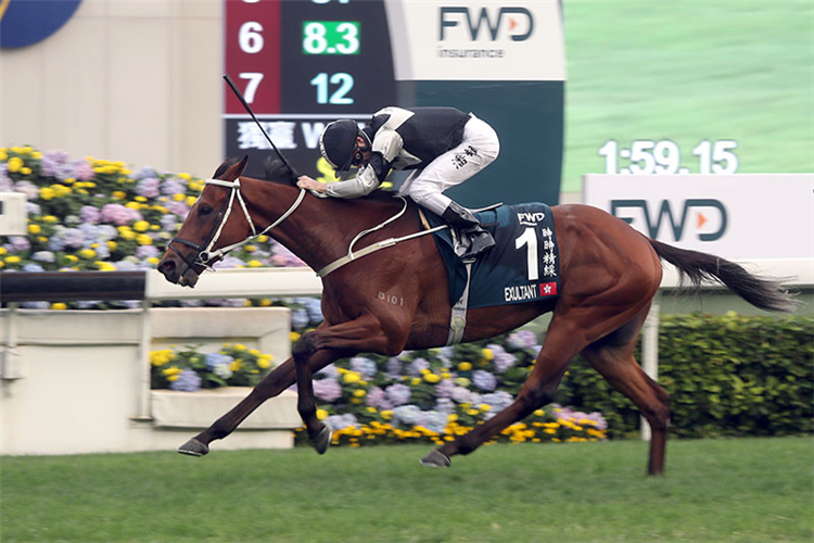 Exultant is a top-rater at Sha Tin on Sunday.